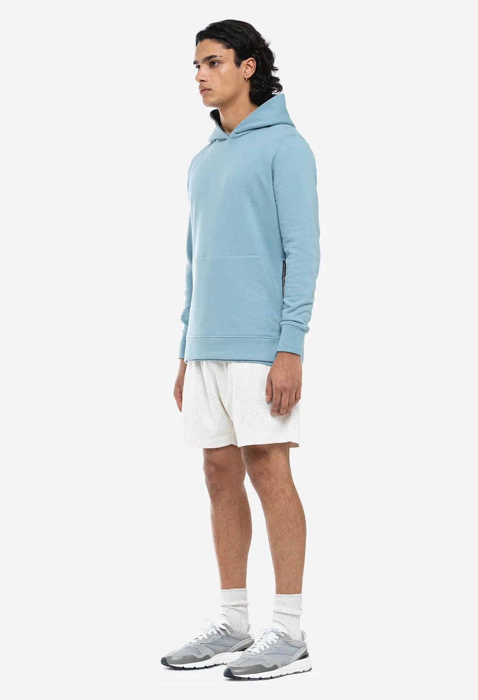 Hooded Villain / Spring