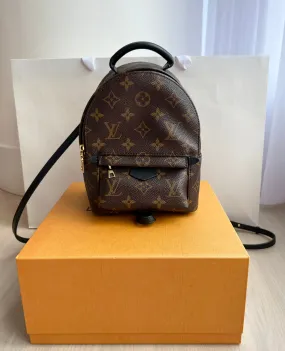 Louis Vuitton Palm Springs Mini Backpack